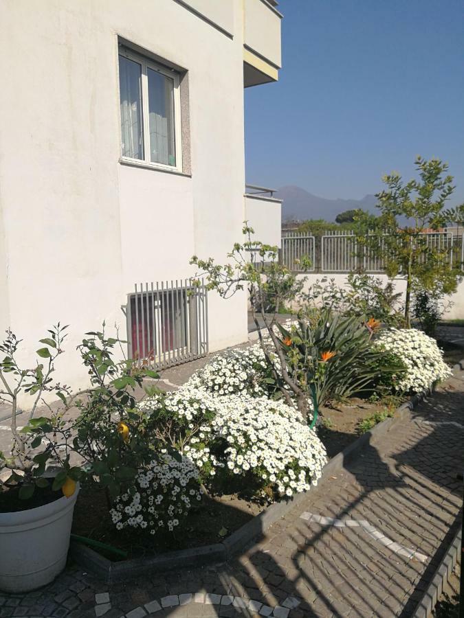 Area Domus Bed & Breakfast Pompei Exterior photo