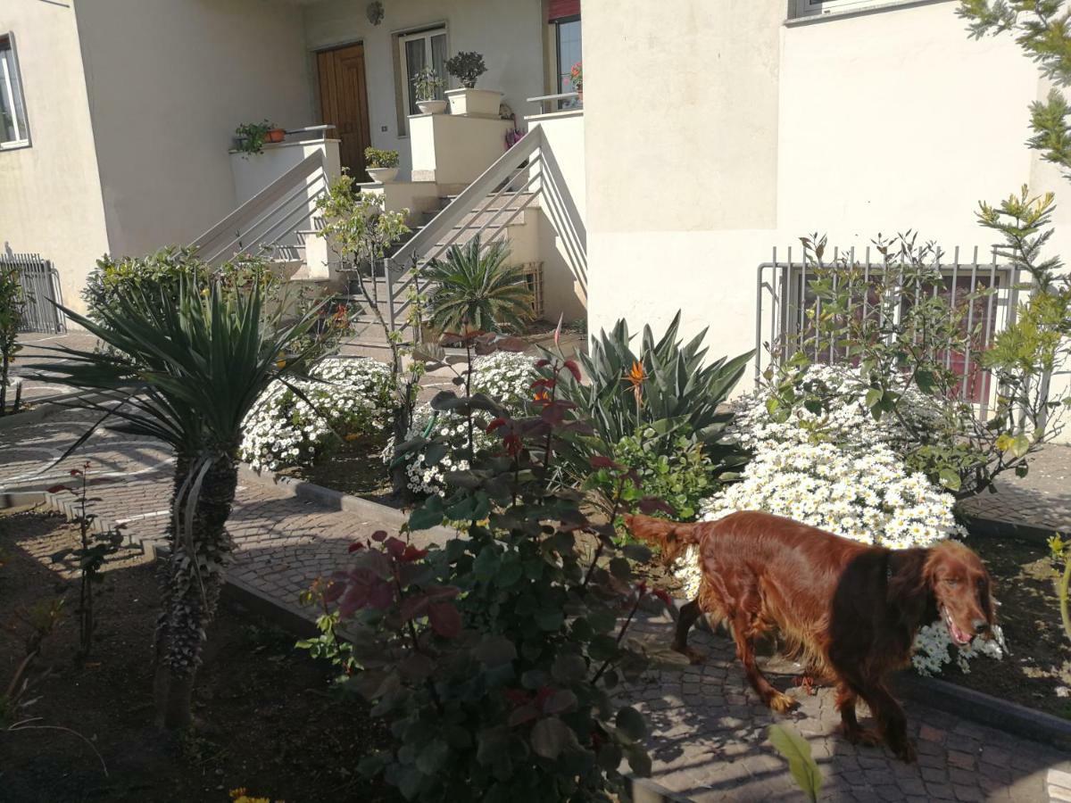 Area Domus Bed & Breakfast Pompei Exterior photo